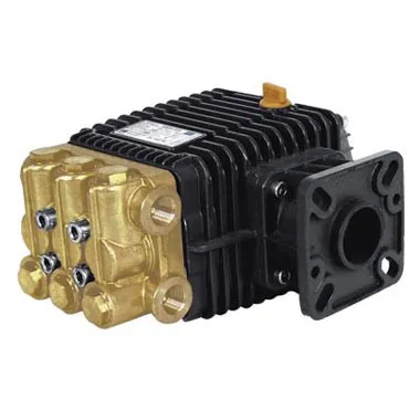 Produit Pompe WBG2030 remplace WJG2030 Image